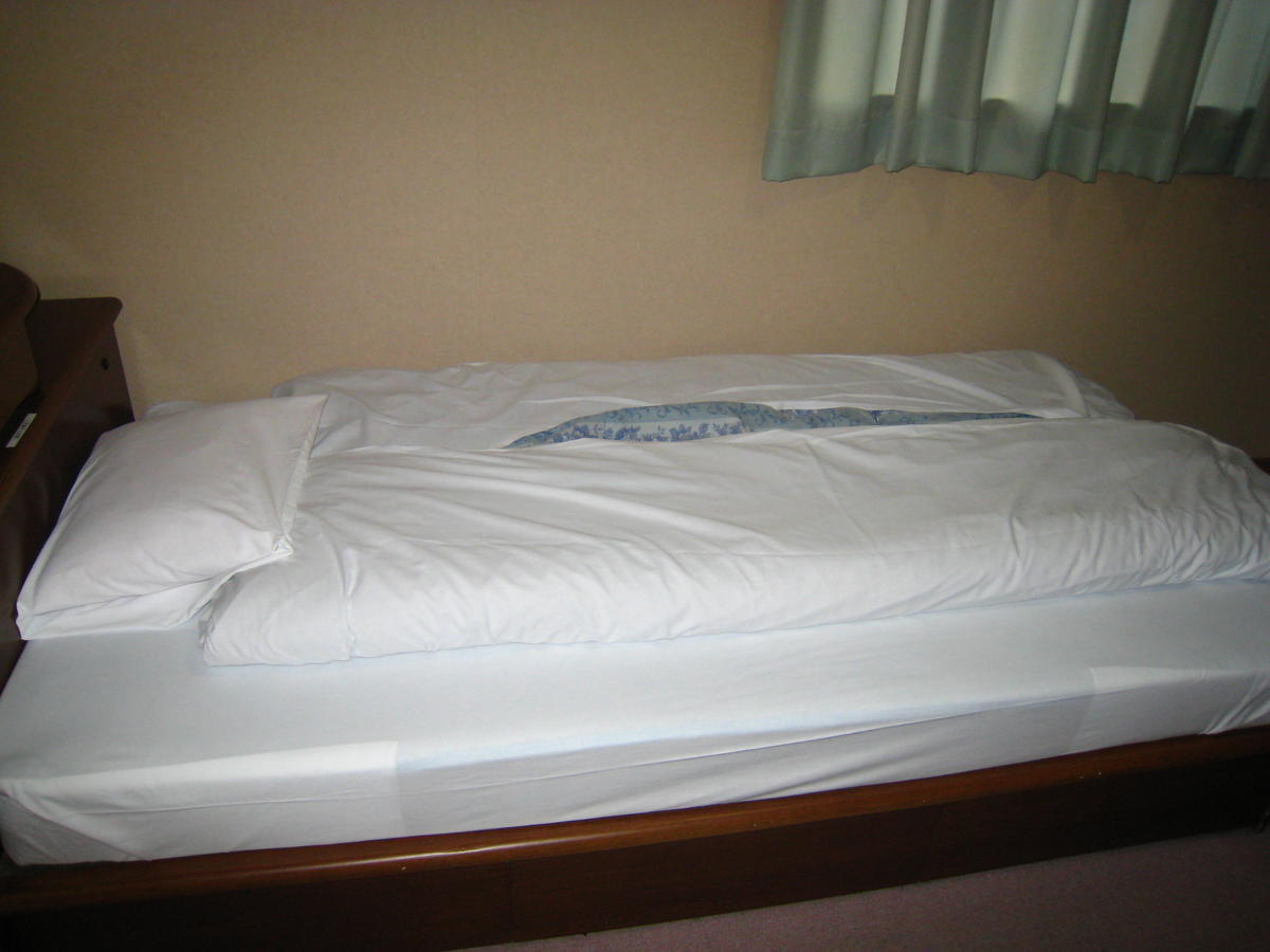 Business Hotel Ojiro Shizuoka Chambre photo